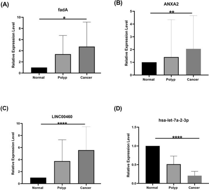 https://cdn.ncbi.nlm.nih.gov/pmc/blobs/59c6/11741970/0db281360662/12672_2025_1796_Fig2_HTML.jpg
