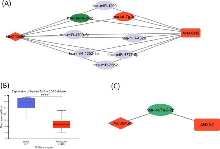 https://cdn.ncbi.nlm.nih.gov/pmc/blobs/59c6/11741970/4dbd88a059d0/12672_2025_1796_Fig1_HTML.jpg