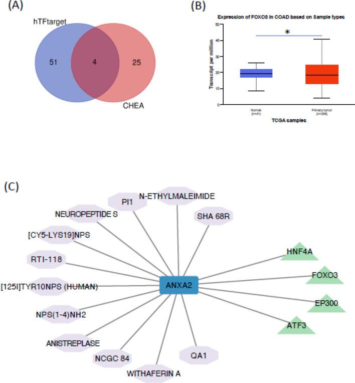 https://cdn.ncbi.nlm.nih.gov/pmc/blobs/59c6/11741970/f9ad448b5e3e/12672_2025_1796_Fig5_HTML.jpg