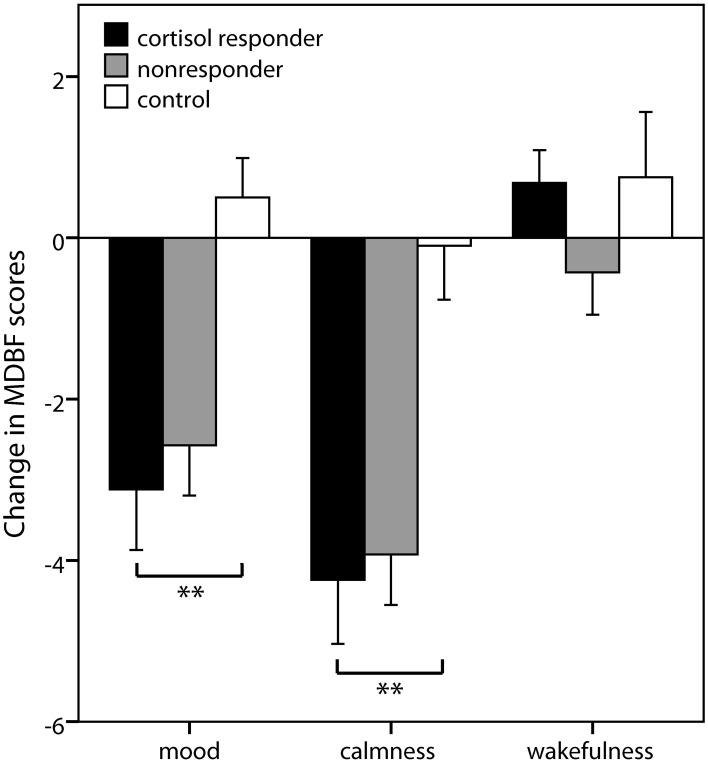 https://cdn.ncbi.nlm.nih.gov/pmc/blobs/59c6/4018549/fab2368c3b9d/fnins-08-00082-g0003.jpg