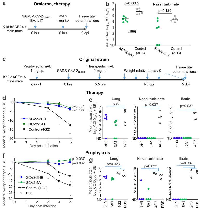 https://cdn.ncbi.nlm.nih.gov/pmc/blobs/59c7/9863740/59ee93c51687/viruses-15-00139-g006.jpg