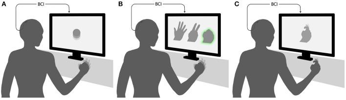 https://cdn.ncbi.nlm.nih.gov/pmc/blobs/59cc/6901702/844b94e2ea46/fninf-13-00074-g0001.jpg