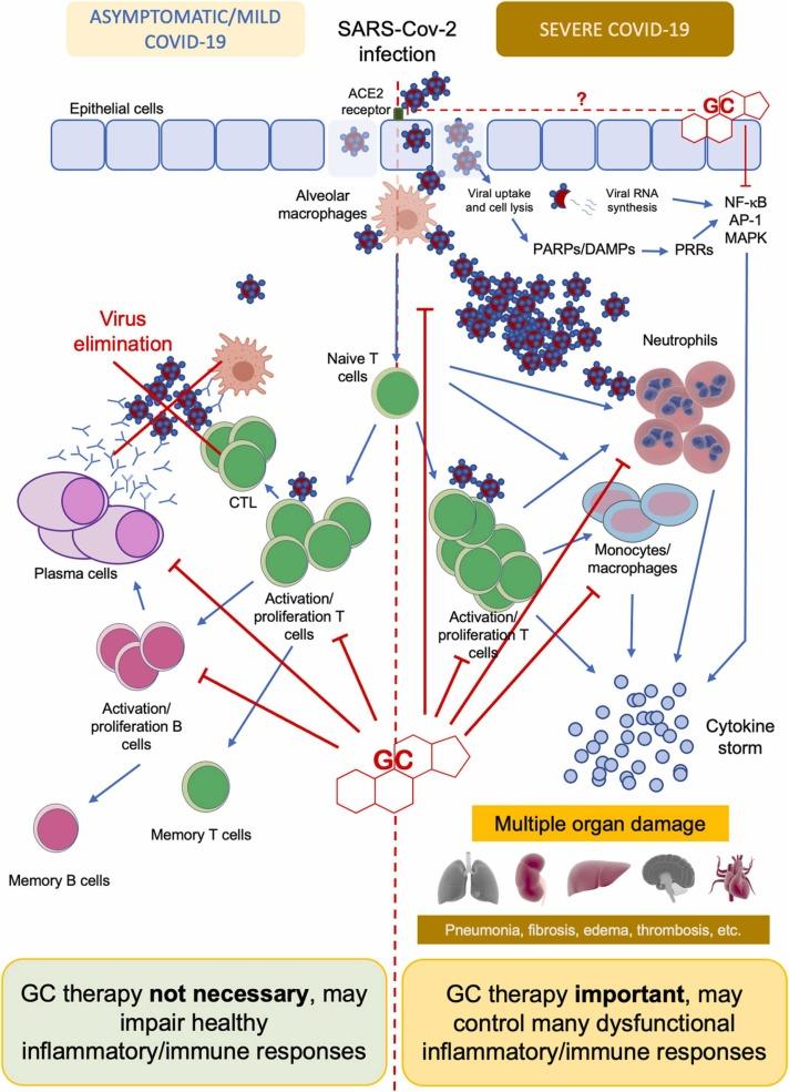 https://cdn.ncbi.nlm.nih.gov/pmc/blobs/59cc/9556882/3d9b49492623/gr2_lrg.jpg