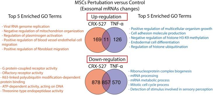 https://cdn.ncbi.nlm.nih.gov/pmc/blobs/59cf/11228621/aa22b255e3c5/sxae028_fig3.jpg