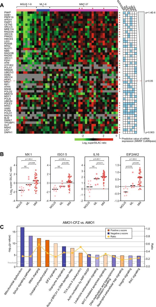 https://cdn.ncbi.nlm.nih.gov/pmc/blobs/59d4/11162064/304a6b75b0c0/12967_2024_5345_Fig6_HTML.jpg