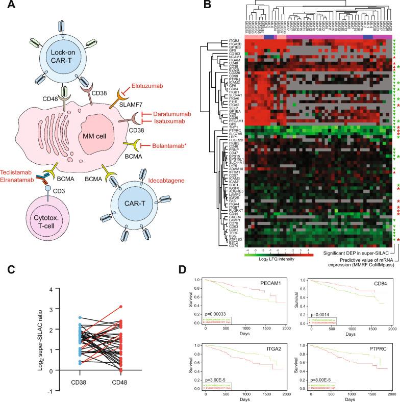 https://cdn.ncbi.nlm.nih.gov/pmc/blobs/59d4/11162064/9b12a9487b95/12967_2024_5345_Fig5_HTML.jpg