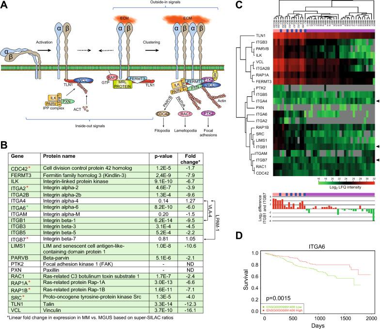 https://cdn.ncbi.nlm.nih.gov/pmc/blobs/59d4/11162064/f2b8c1403ebe/12967_2024_5345_Fig4_HTML.jpg