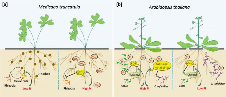https://cdn.ncbi.nlm.nih.gov/pmc/blobs/59d5/10441942/fbbfdcdb5ce3/44154_2021_27_Fig2_HTML.jpg