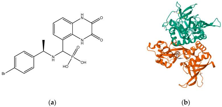 https://cdn.ncbi.nlm.nih.gov/pmc/blobs/59d8/10674917/cb71de1fdd0e/pharmaceuticals-16-01535-g004.jpg