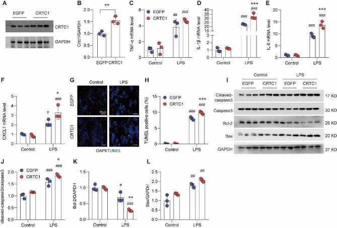 https://cdn.ncbi.nlm.nih.gov/pmc/blobs/59d9/11034098/39b0026d340e/12950_2024_385_Fig4_HTML.jpg