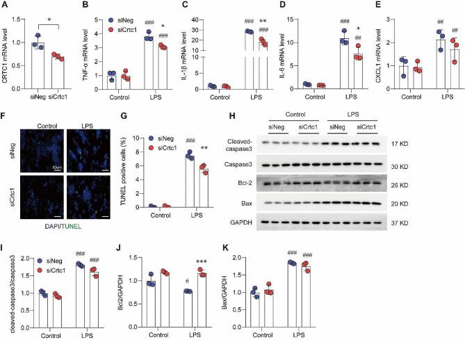 https://cdn.ncbi.nlm.nih.gov/pmc/blobs/59d9/11034098/5c4a763f1195/12950_2024_385_Fig3_HTML.jpg