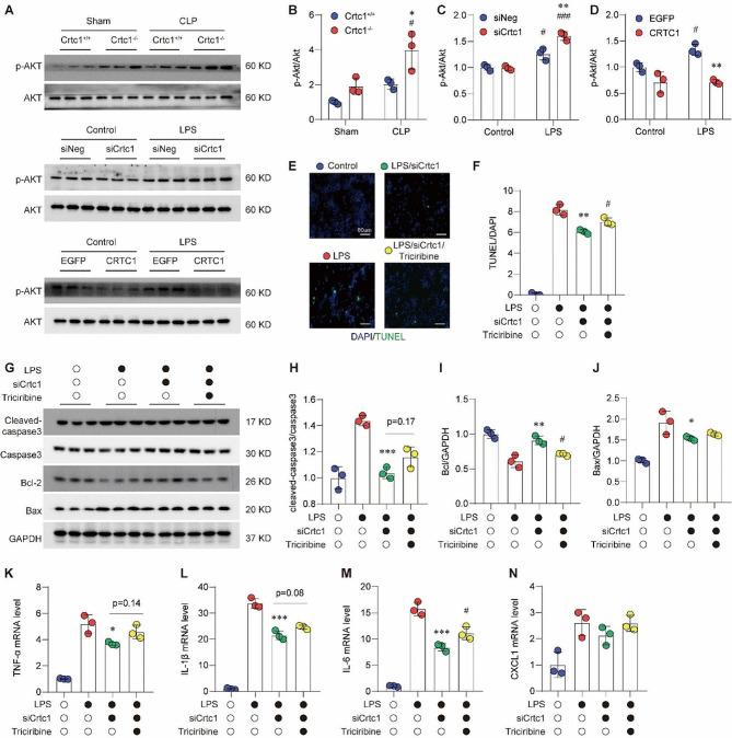 https://cdn.ncbi.nlm.nih.gov/pmc/blobs/59d9/11034098/e9d2c10689df/12950_2024_385_Fig5_HTML.jpg