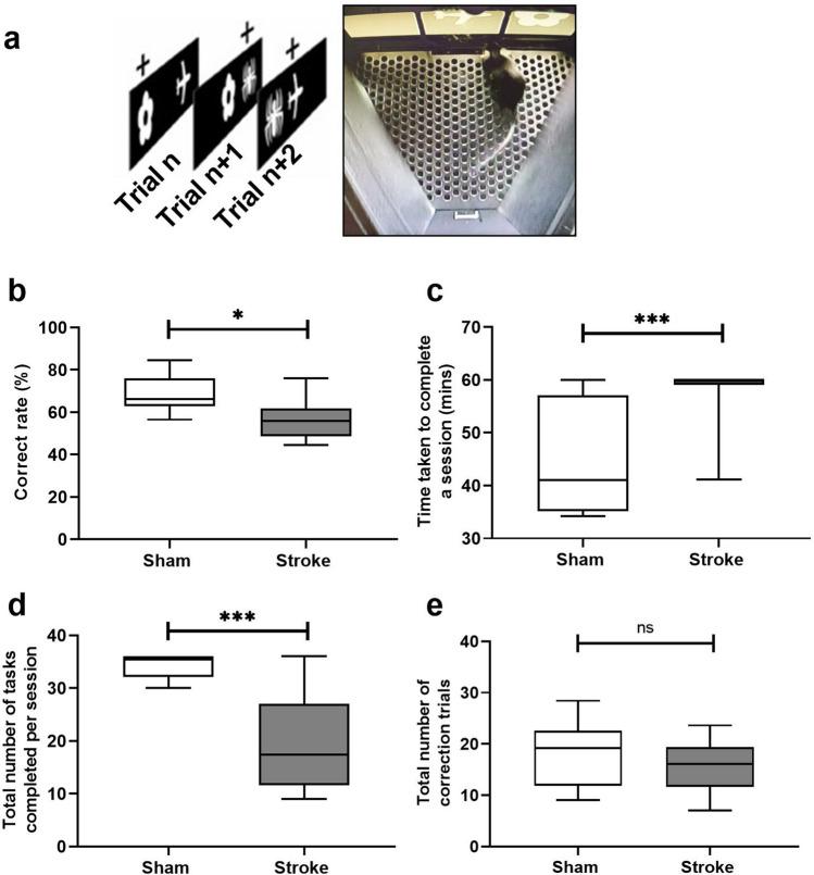 https://cdn.ncbi.nlm.nih.gov/pmc/blobs/59d9/7658221/dbfe2a112879/41598_2020_76560_Fig1_HTML.jpg