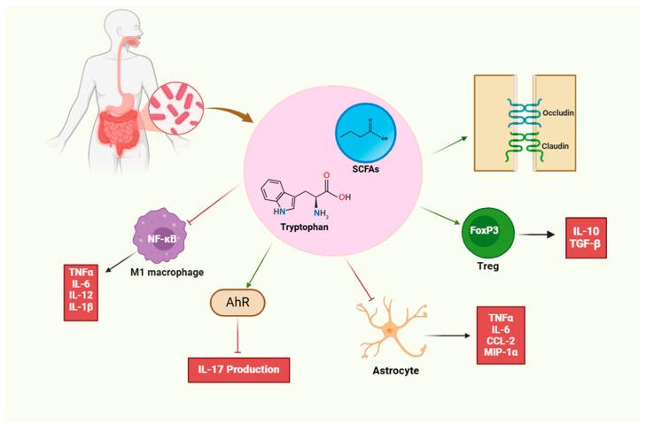 https://cdn.ncbi.nlm.nih.gov/pmc/blobs/59db/12025160/075ca118ac75/biology-14-00435-g002.jpg