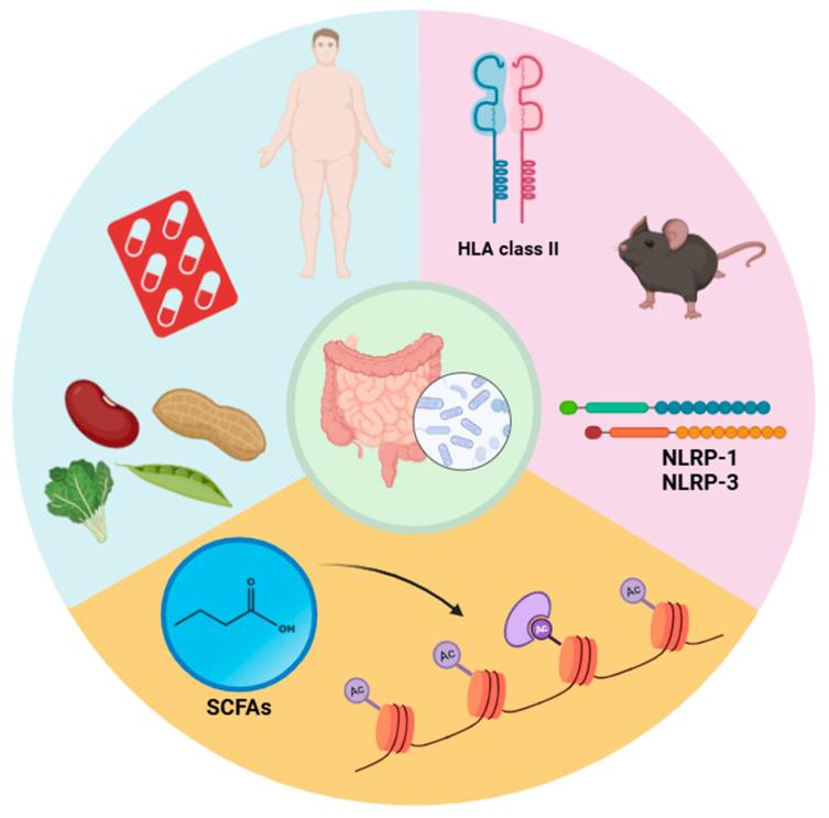 https://cdn.ncbi.nlm.nih.gov/pmc/blobs/59db/12025160/bc3f740a4f5d/biology-14-00435-g003.jpg