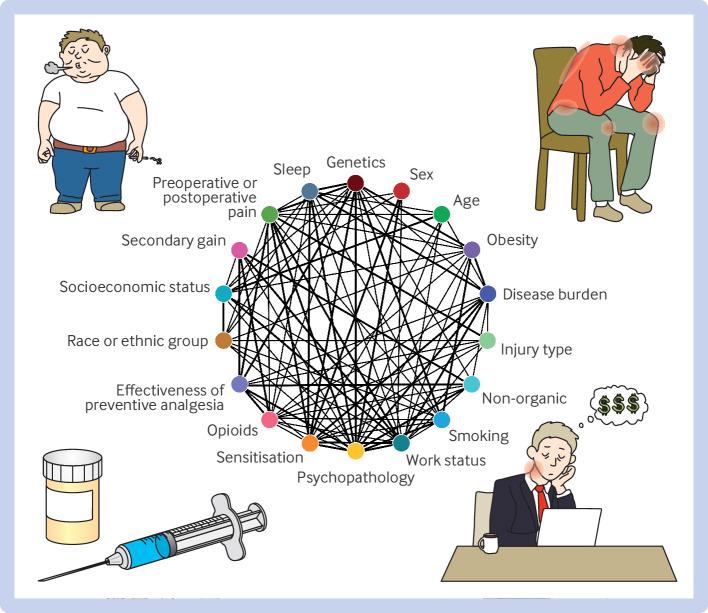 https://cdn.ncbi.nlm.nih.gov/pmc/blobs/59dc/12306485/3049e9ee55d4/bmjmed-4-1-g001.jpg
