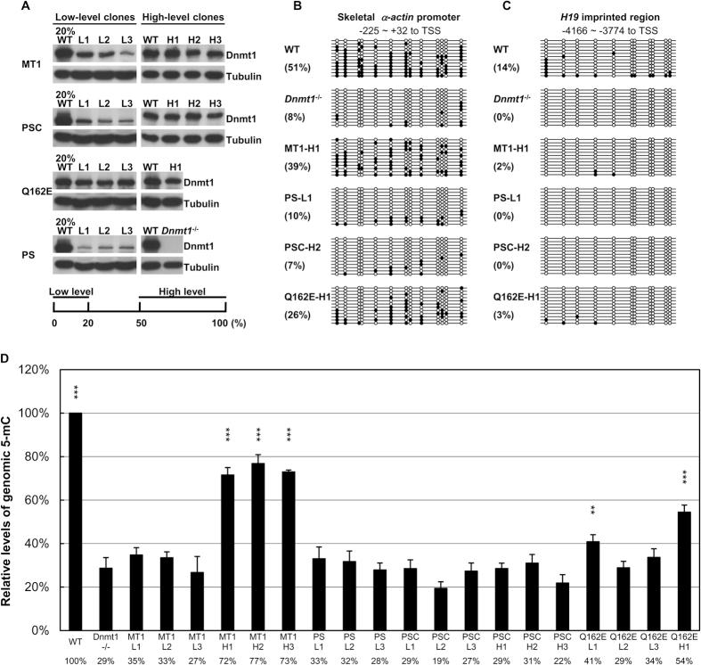 https://cdn.ncbi.nlm.nih.gov/pmc/blobs/59dc/5122852/bd4e8956b8d4/srep37490-f1.jpg