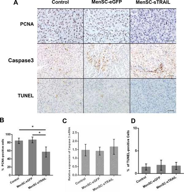 https://cdn.ncbi.nlm.nih.gov/pmc/blobs/59dc/5601654/099973e38bc5/oncotarget-08-58309-g006.jpg