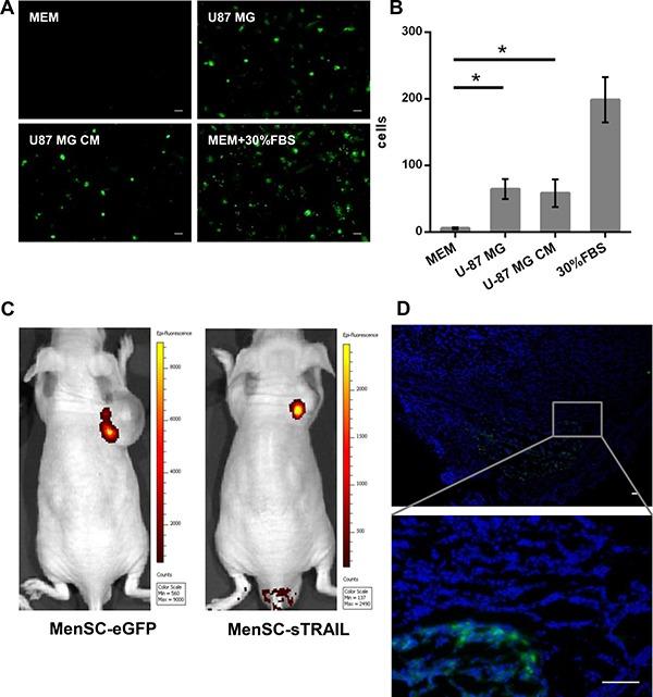 https://cdn.ncbi.nlm.nih.gov/pmc/blobs/59dc/5601654/f267bd27e29b/oncotarget-08-58309-g003.jpg