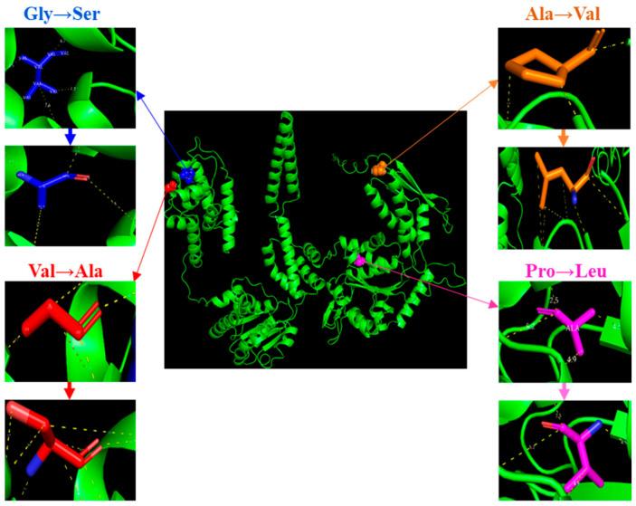 https://cdn.ncbi.nlm.nih.gov/pmc/blobs/59e0/12196252/6635cfa059bb/microorganisms-13-01401-g002.jpg