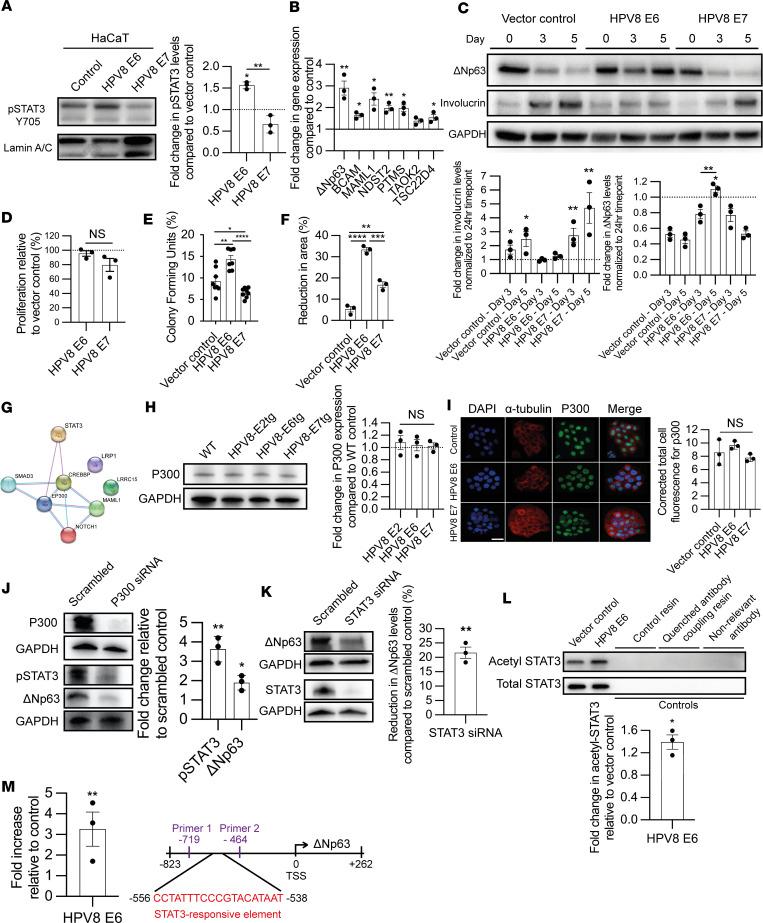 https://cdn.ncbi.nlm.nih.gov/pmc/blobs/59e2/11383611/481f7014ef84/jciinsight-9-177898-g161.jpg
