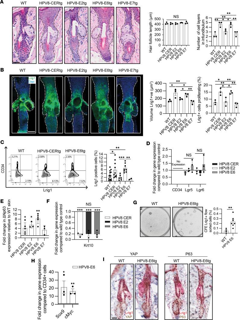 https://cdn.ncbi.nlm.nih.gov/pmc/blobs/59e2/11383611/d593eba5c35c/jciinsight-9-177898-g159.jpg