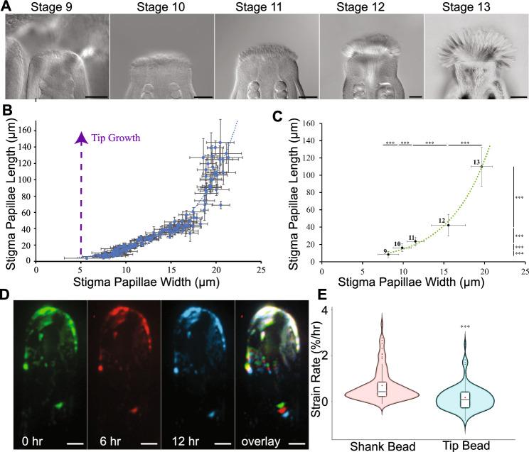 https://cdn.ncbi.nlm.nih.gov/pmc/blobs/59e2/12137461/1164ef5446fb/497_2025_523_Fig1_HTML.jpg