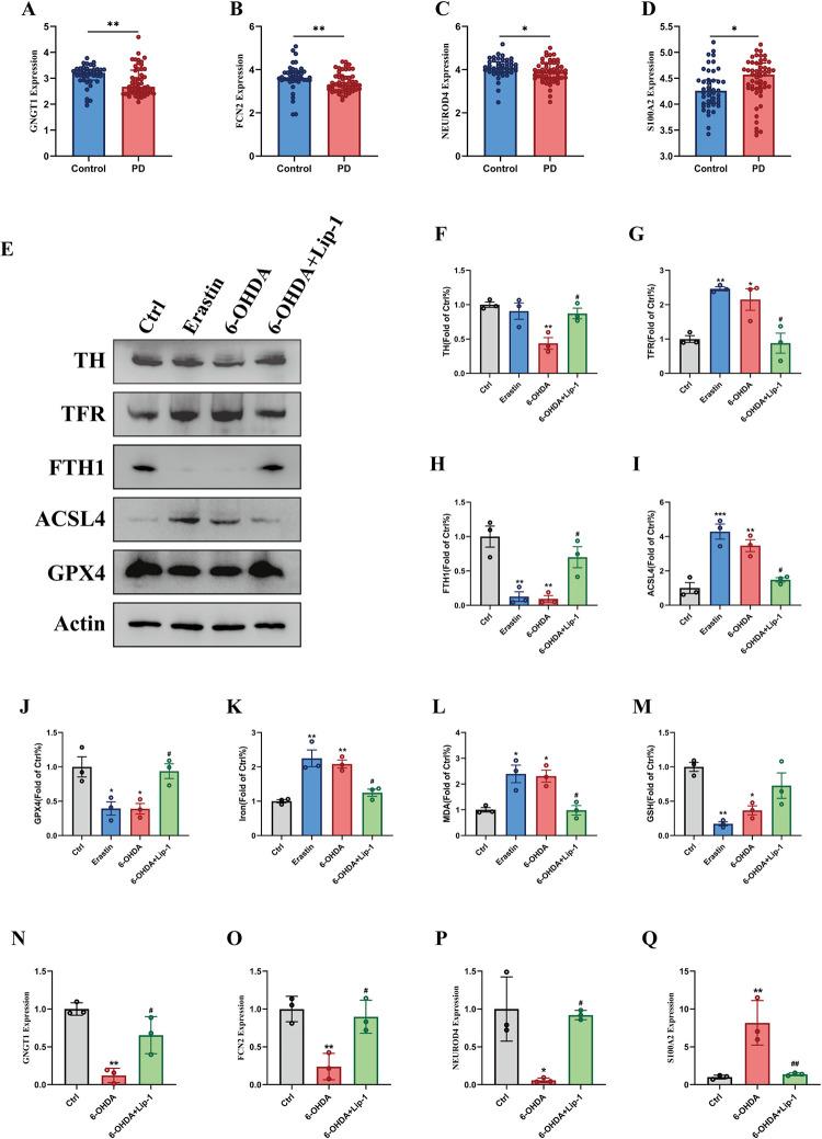 https://cdn.ncbi.nlm.nih.gov/pmc/blobs/59e3/11687868/04e659db4526/pone.0316179.g006.jpg