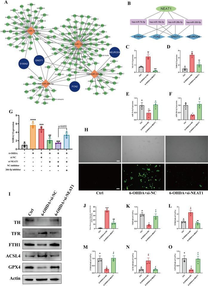 https://cdn.ncbi.nlm.nih.gov/pmc/blobs/59e3/11687868/05d7e1e78791/pone.0316179.g007.jpg
