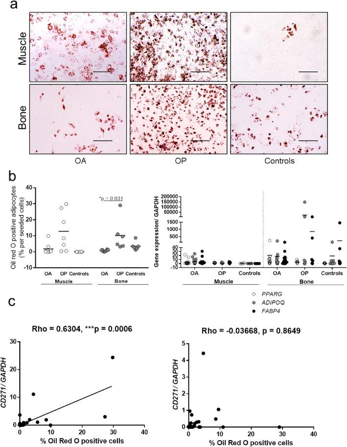 https://cdn.ncbi.nlm.nih.gov/pmc/blobs/59e3/7118858/71325c0925a0/13287_2020_1657_Fig5_HTML.jpg