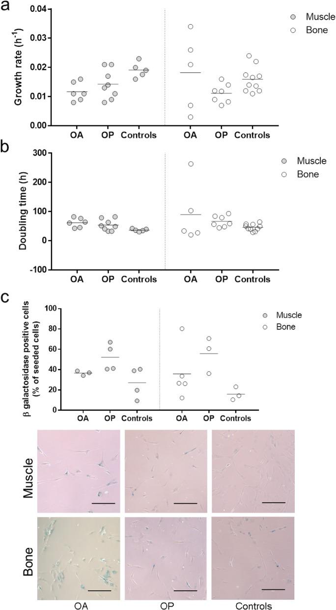 https://cdn.ncbi.nlm.nih.gov/pmc/blobs/59e3/7118858/a2f4dcc42215/13287_2020_1657_Fig4_HTML.jpg