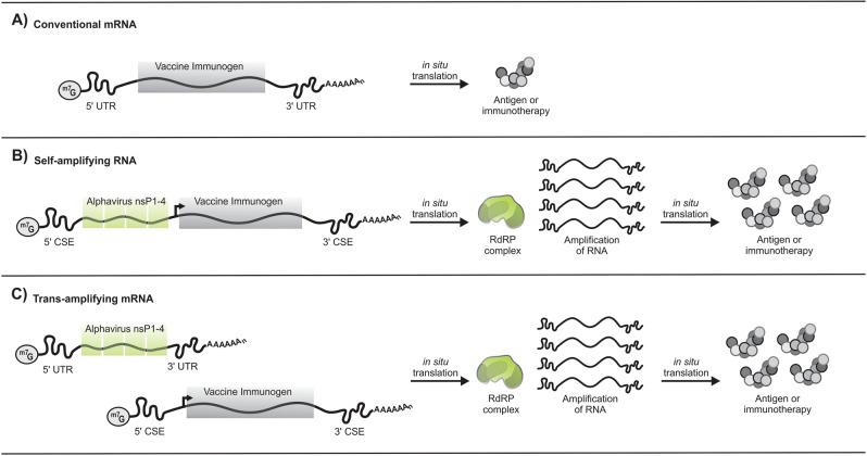 https://cdn.ncbi.nlm.nih.gov/pmc/blobs/59e4/7580817/36fdf20e271d/41434_2020_204_Fig1_HTML.jpg
