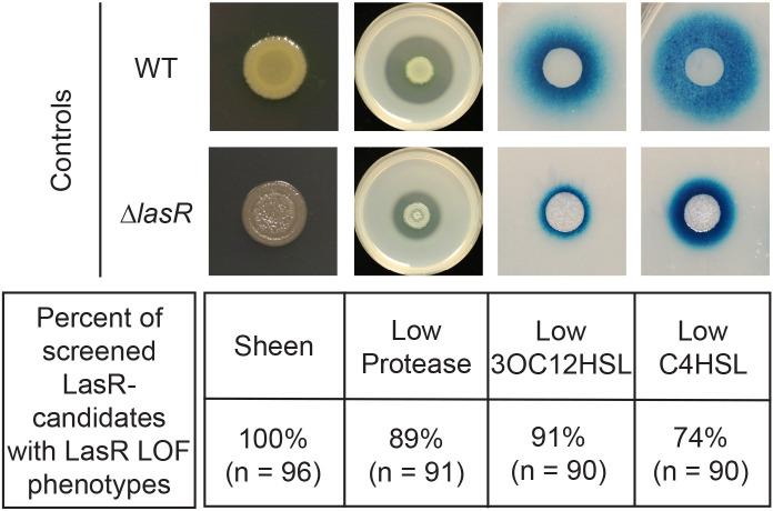 https://cdn.ncbi.nlm.nih.gov/pmc/blobs/59e8/9224983/a4080717b88e/elife-76555-fig1-figsupp2.jpg