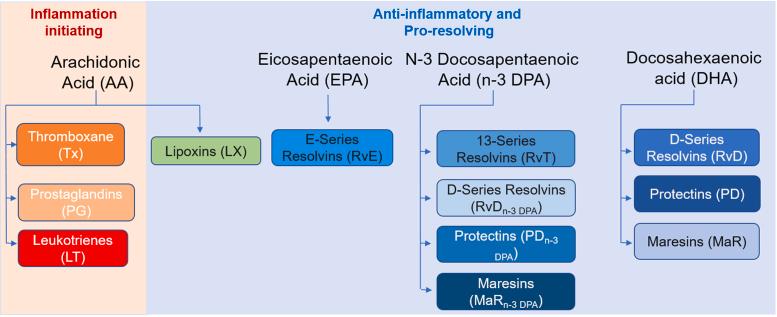 https://cdn.ncbi.nlm.nih.gov/pmc/blobs/59ec/10025757/9a36a904dde3/gr1.jpg