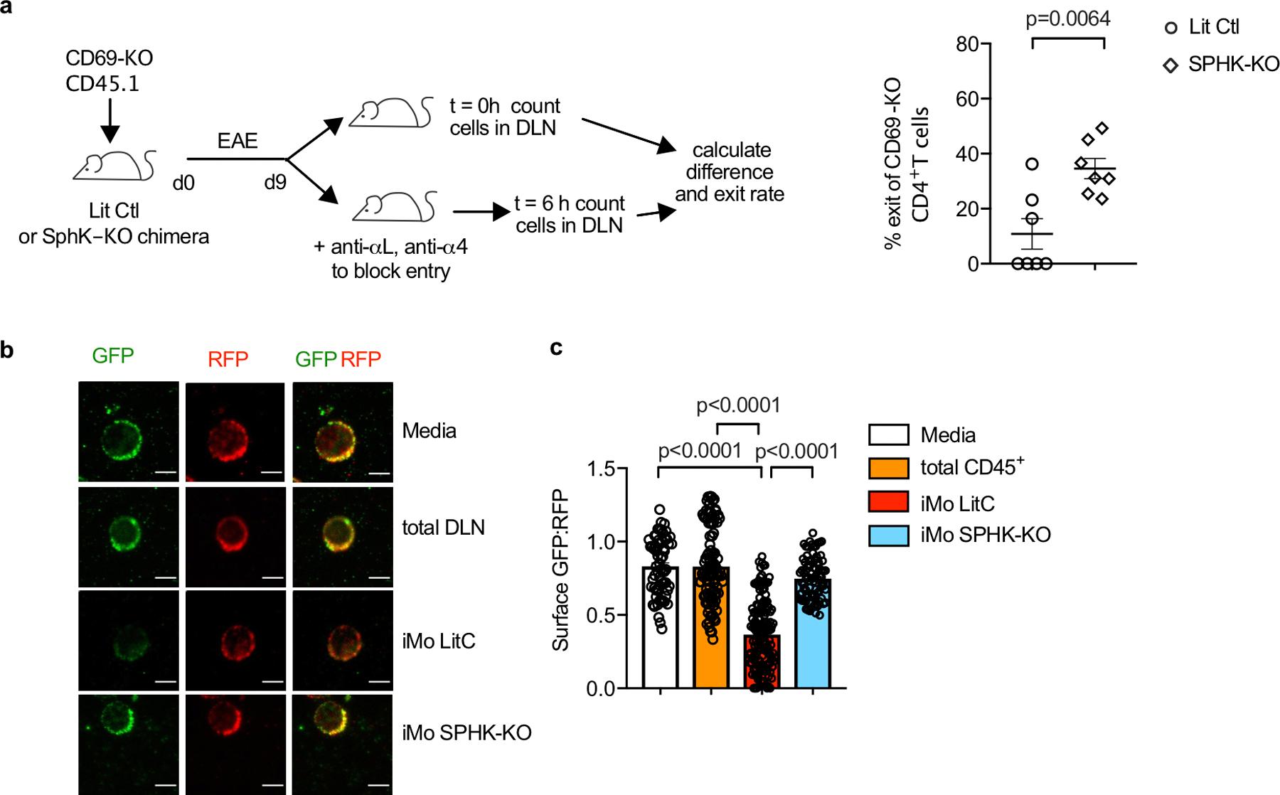 https://cdn.ncbi.nlm.nih.gov/pmc/blobs/59ef/8475585/5723b638d54f/nihms-1662370-f0012.jpg