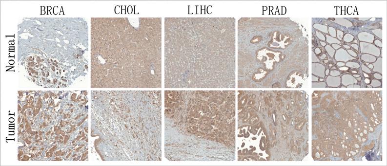 https://cdn.ncbi.nlm.nih.gov/pmc/blobs/59f3/11408854/5c5d3313ad58/mmcfigs2.jpg