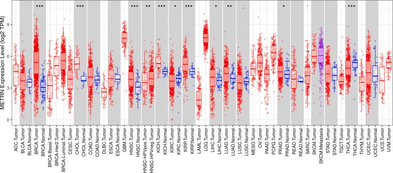 https://cdn.ncbi.nlm.nih.gov/pmc/blobs/59f3/11408854/70a153f0b214/mmcfigs1.jpg