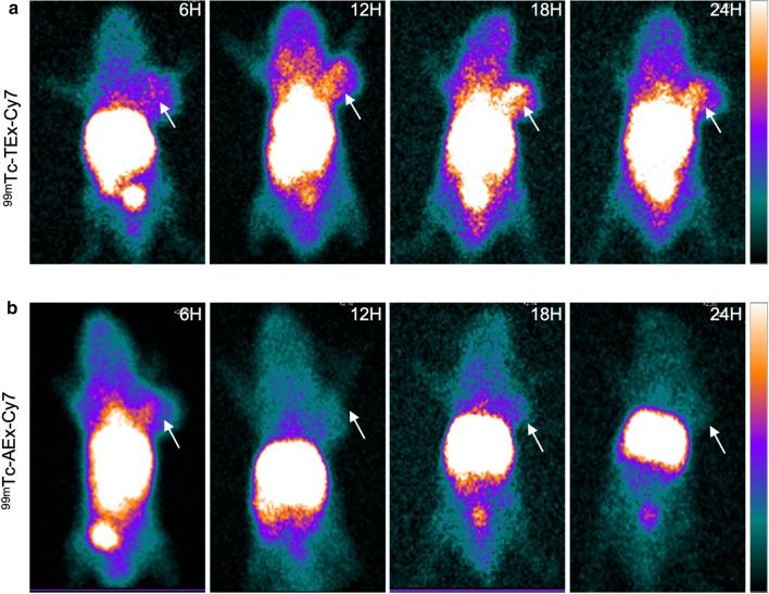 https://cdn.ncbi.nlm.nih.gov/pmc/blobs/59f3/7789573/9d4352598a26/12951_2020_746_Fig5_HTML.jpg
