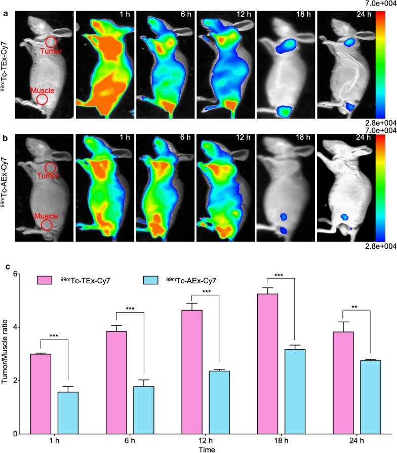 https://cdn.ncbi.nlm.nih.gov/pmc/blobs/59f3/7789573/ab9392f67cc2/12951_2020_746_Fig4_HTML.jpg
