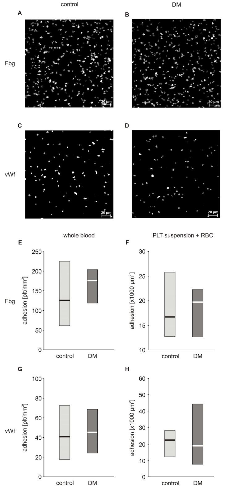 https://cdn.ncbi.nlm.nih.gov/pmc/blobs/59f4/7247361/ec814bb2b5b8/ijms-21-03222-g001.jpg