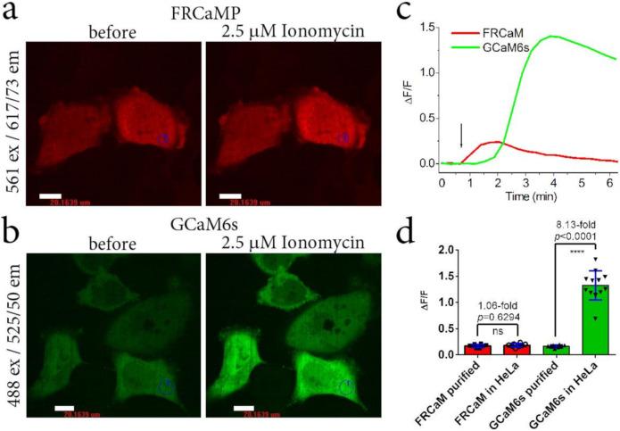 https://cdn.ncbi.nlm.nih.gov/pmc/blobs/59f7/7794825/328deb47ba8b/ijms-22-00111-g006.jpg