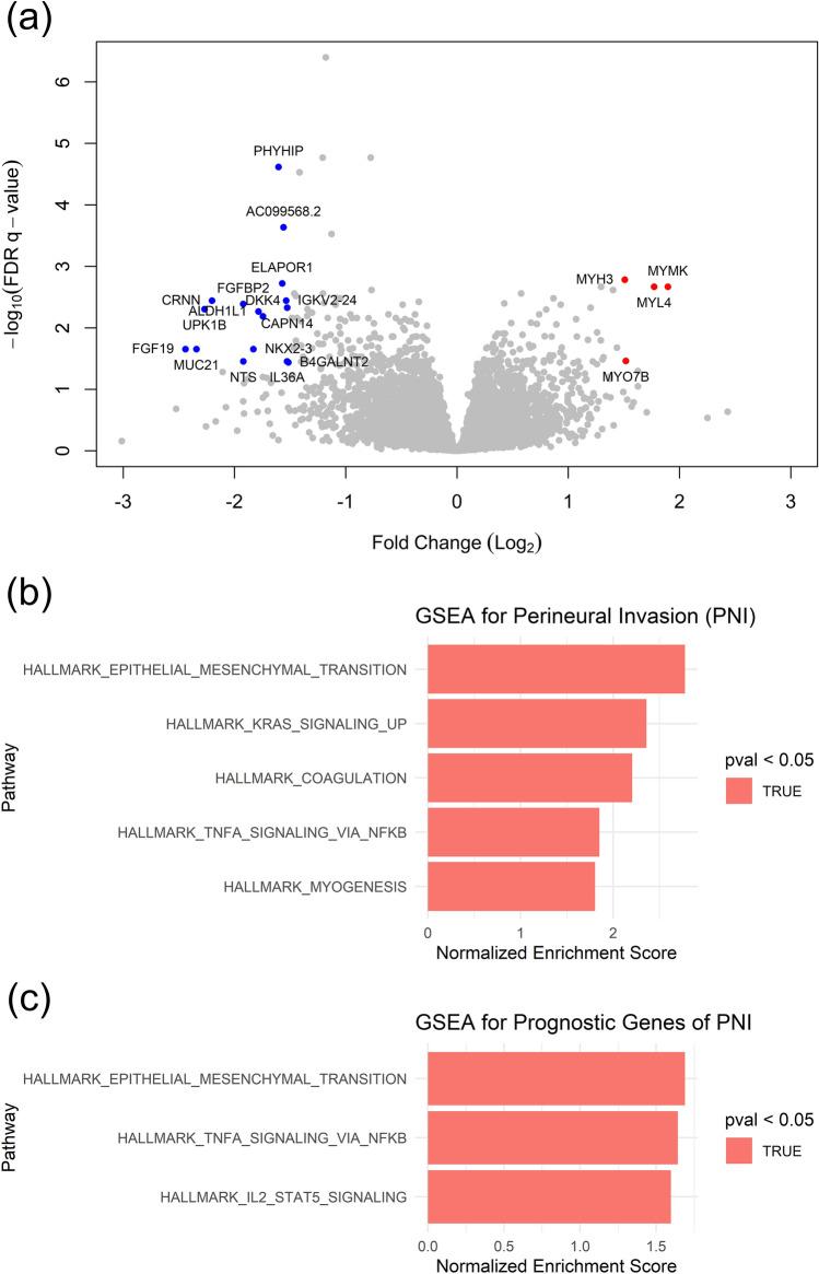 https://cdn.ncbi.nlm.nih.gov/pmc/blobs/59f8/10825128/391e49cdecd3/41598_2024_52745_Fig2_HTML.jpg