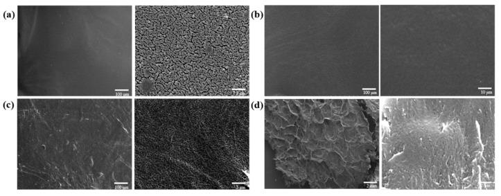 https://cdn.ncbi.nlm.nih.gov/pmc/blobs/59f9/10459649/e90b39c53727/polymers-15-03389-g003.jpg