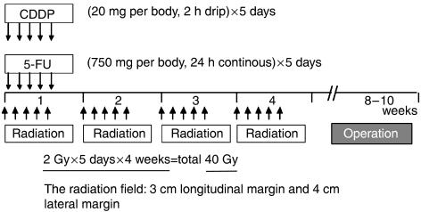 https://cdn.ncbi.nlm.nih.gov/pmc/blobs/59fb/2391133/202d33d399eb/6604361f1.jpg