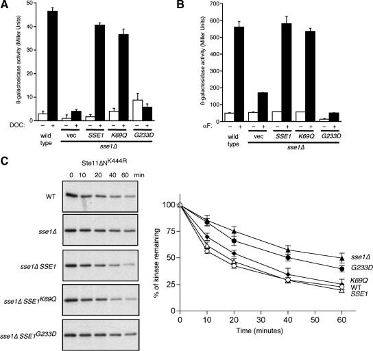 https://cdn.ncbi.nlm.nih.gov/pmc/blobs/59fc/2861604/461c0d9df0f8/zmk0091094380003.jpg