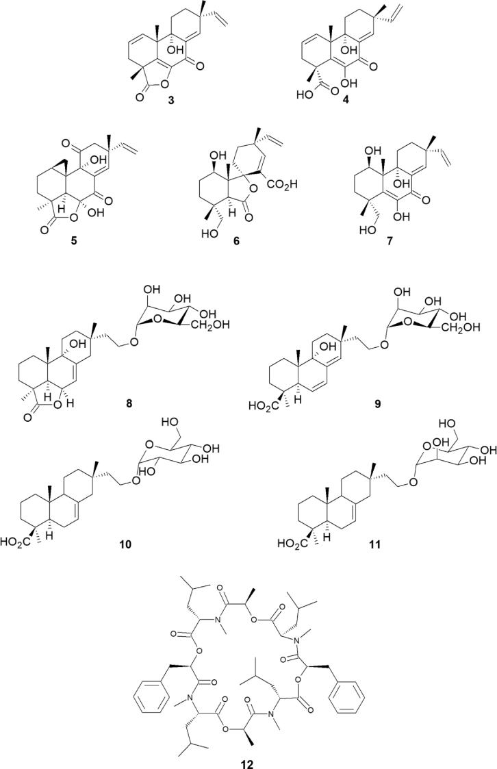 https://cdn.ncbi.nlm.nih.gov/pmc/blobs/59fc/7056724/fd0e8118a240/gr4.jpg