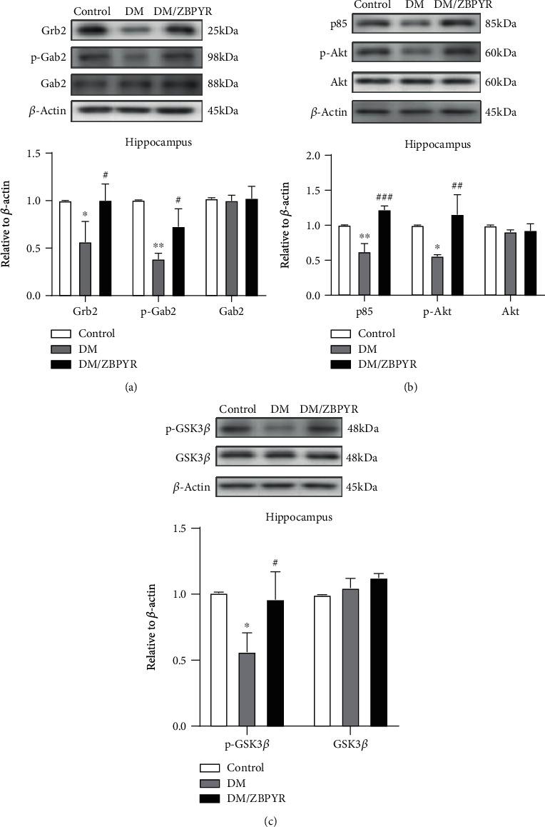 https://cdn.ncbi.nlm.nih.gov/pmc/blobs/59fc/7868140/c2f9722e4cae/NP2021-8825698.003.jpg