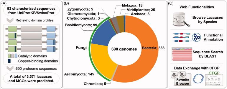 https://cdn.ncbi.nlm.nih.gov/pmc/blobs/59fd/7594830/a13ada655ae3/TMYB_A_1816151_F0001_C.jpg