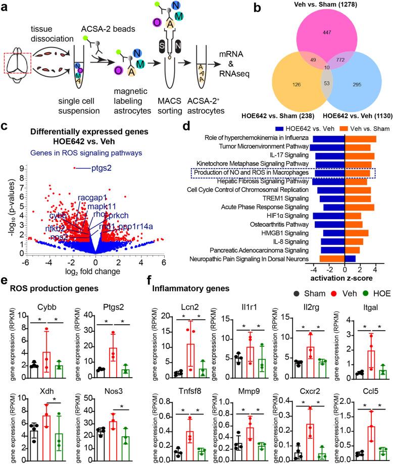 https://cdn.ncbi.nlm.nih.gov/pmc/blobs/59fd/8403348/24c85e3ca914/12974_2021_2234_Fig8_HTML.jpg