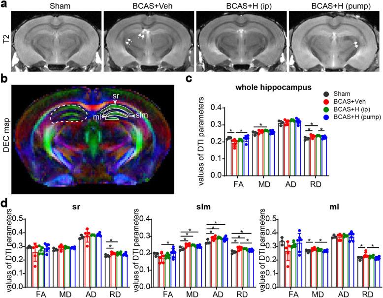 https://cdn.ncbi.nlm.nih.gov/pmc/blobs/59fd/8403348/e9cdd5b9de65/12974_2021_2234_Fig5_HTML.jpg